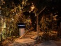 Tn dsc 4442
